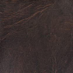 Vinyl Walnut